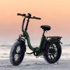 image:imageHeybike Ranger 20 Foldable Electric Bike for Adults 204 Fat Tire Ebike with 1400W Peak Motor 28 MPH Max Speed 600Wh Removable Battery Up to 65 Miles Range Front Suspension StepThru E BikeGreenWhite Combo