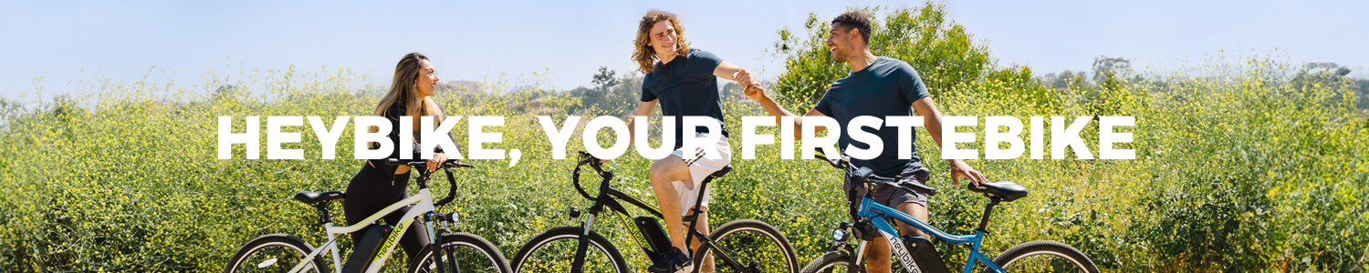 Haibike | Electric Mountain Bike, eMTB, Trekking & Commuter E-Bikes