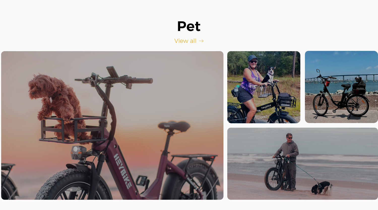 Haibike | Electric Mountain Bike, eMTB, Trekking & Commuter E-Bikes