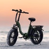 image:imageHeybike Ranger 20 Folding Electric Bike for Adults 1400W Peak Motor EbikeGreenWhite Combo